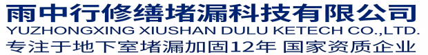 东营雨中行修缮堵漏科技有限公司